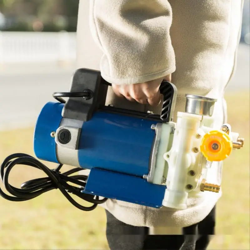 Agricultural Electric Pesticide Fruit Tree Sprayer 12V V High Pressure Double Cylinder Piston Pump