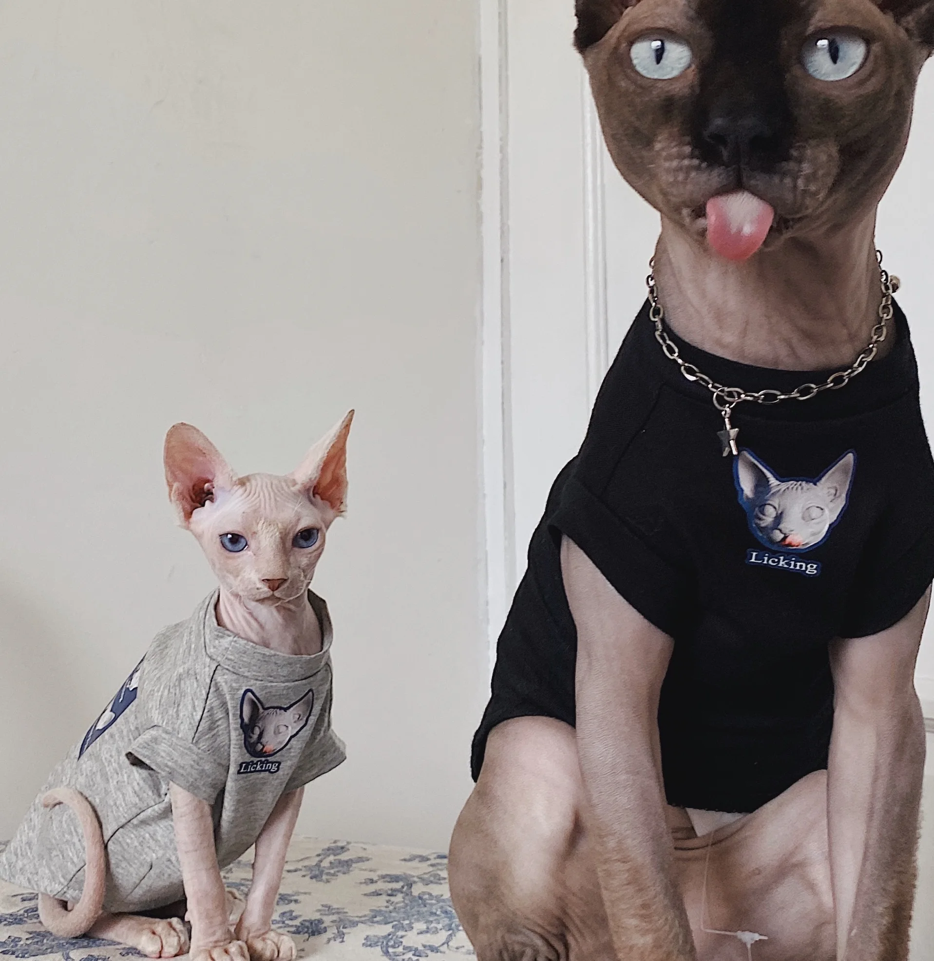 Hairless Pet Clothes for Small Dogs, Pet Sphinx T-Shirt, Artistic Couple, Parent-Child Clothing, Cotton Pet Clothes