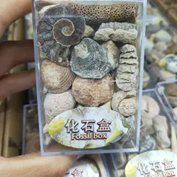 Sporadic 1 Box Mixed Ore Specimens Science Mineral Rock Museum Teaching Gravel Specimen Materials Natural Raw Stone