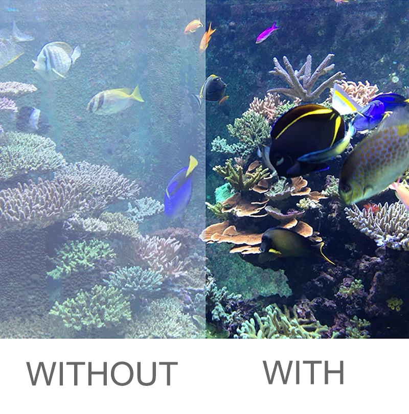 36 PACK Anti Fog Inserts for GoPro Hero 11 10 9 8 7 6 5 4 Session Xiaomi Yi Sjcam Eken Go Pro Action Cameras Accessory