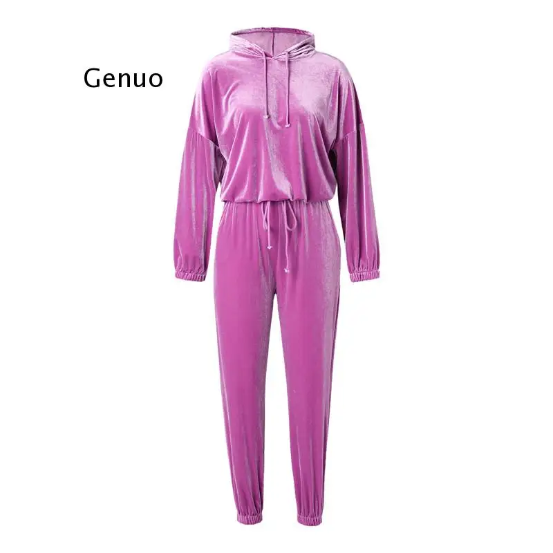 Autumn Velour Tracksuit Womens Velvet Set Woman Tracksuit Sets Winter Velvet Suit Two Piece Set Women 2 Piece Outfits