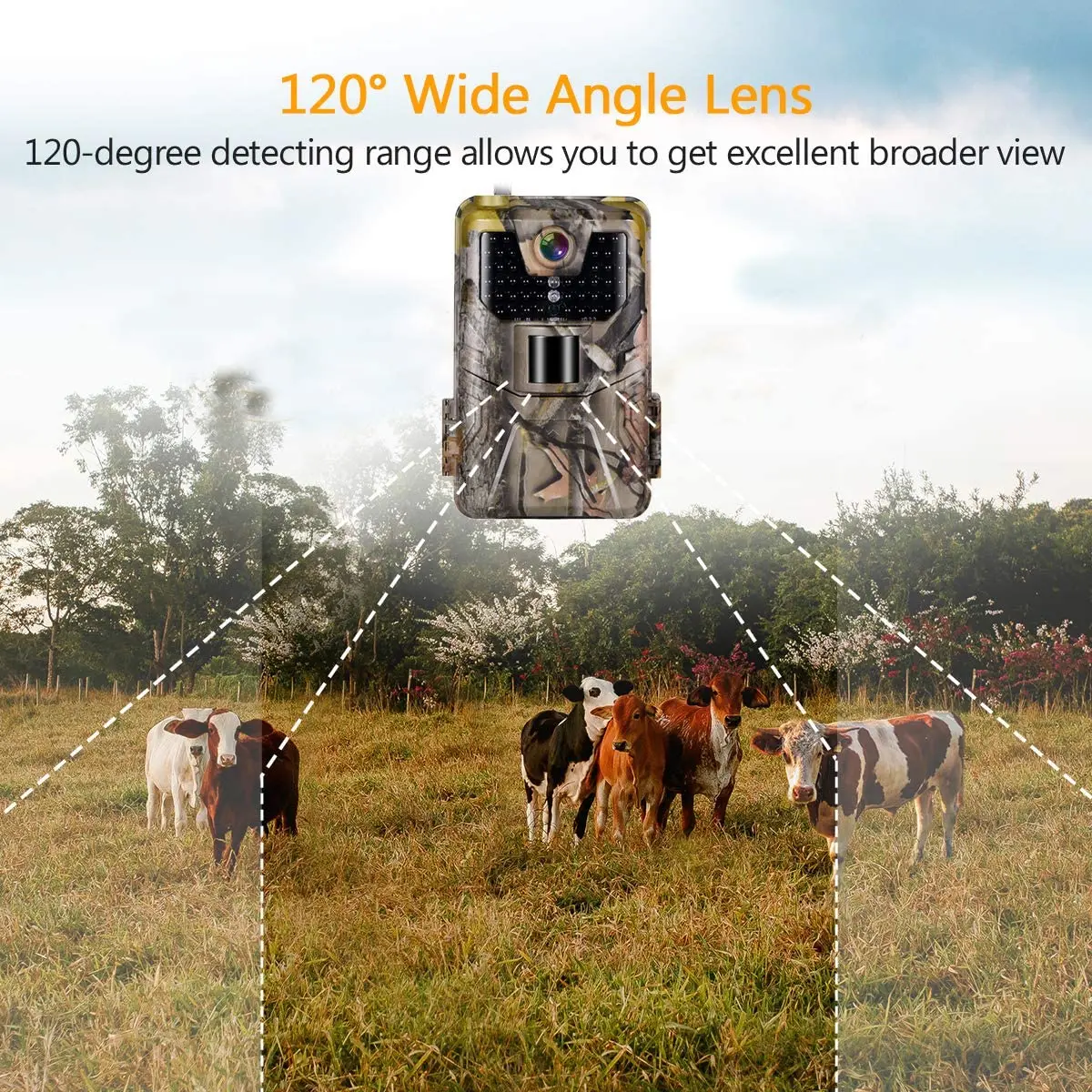 SUNTEKCAM Hunting Camera 36MP 2.7K Trail Camera Night Version  IP65 Wildlife Surveillance Camera Chasse Scouts HC900A