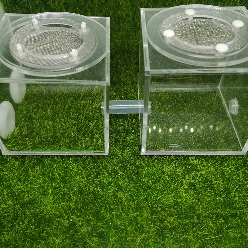 Square Ant Nest Transparent Activity Area Acrylic Ant Farm Climbing Pet Feeding Box 7x7x7 cm