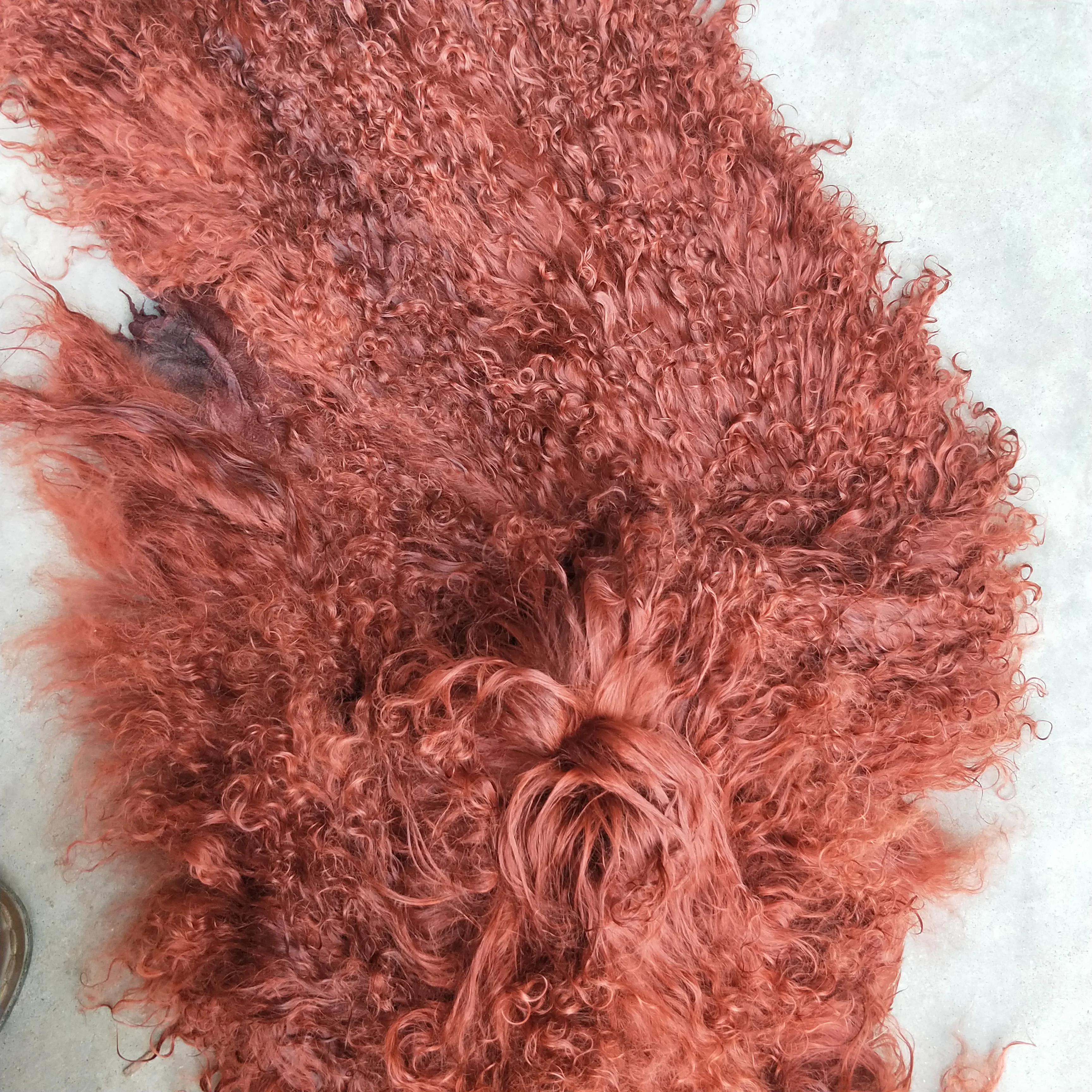 Top quality curly hair soft dyed animal fur skins mongolian goat fur skins for garment