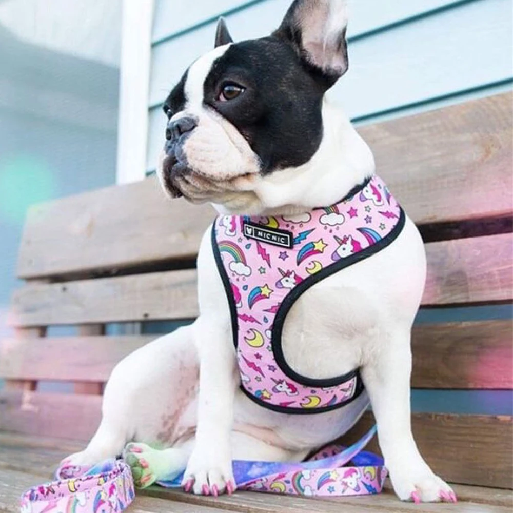 Unicorn Small Dog Harness No Pull Dog Vest Harness for Small Medium Dogs Breathable Pets Puppy French Bulldog Harness Leash Set