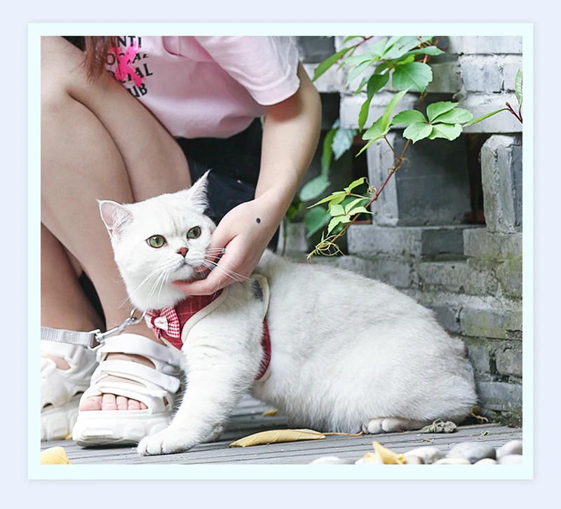 Bowknot Cat Harness and Leash Set Adjustable Puppy Harness Cat Lead Leash Clothes Vest Nylon Mesh Kitten Collar Cat Accessories