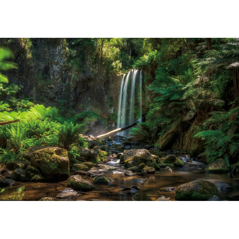 الربيع المشهد الغابات الاستوائية خلفية التصوير الفوتوغرافي صورة ديكور فوتوزون التصوير خلفية الصورة استوديو