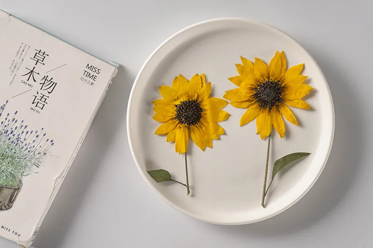 2 Stück/5–6 cm Blütenkopf, Ture Pressed Mini-Sonnenblumenzweig, geprägter Pflanzen-Tropfenkleber, Handyschale, DIY-Lesezeichen, Kartenmaterial – Detail 1