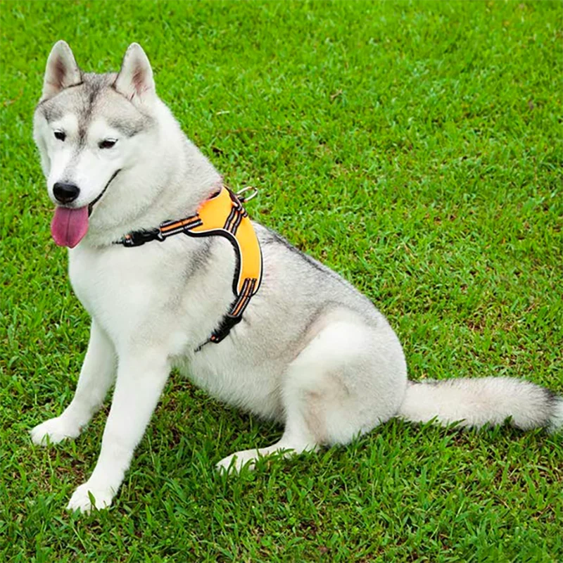 Dog Harness Tailup Pet Products Adjustable Reflective Vest Walking Lead Leash for Puppy Mesh Harness for Small Medium Dog