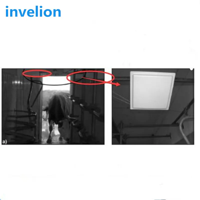 Imagem -04 - Leitor Alto da Frequência Ultraelevada Rfid da Sensibilidade da Longa Distância Usado na Detecção Estável do Inventário da Contagem dos Animais da Vaca