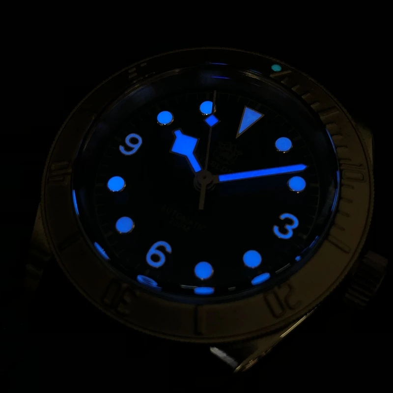 STEELDIVE men dive watch,mens automatic mechanical watches bronze sport wristwatch 200m waterproof Switzerland luminous clock