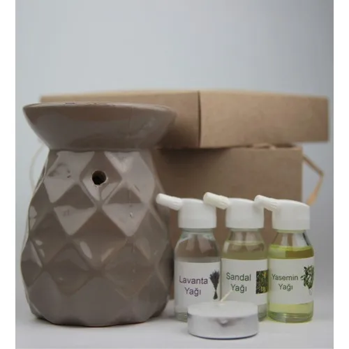 Gift Idea Pineapple Design Gray Color Censer and 3 Pcs Oil Set