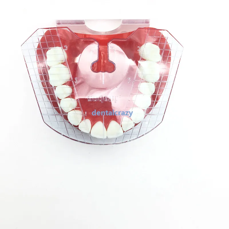 New 1pc dental lab dental guide plate teeth arrangement on denture dental supply