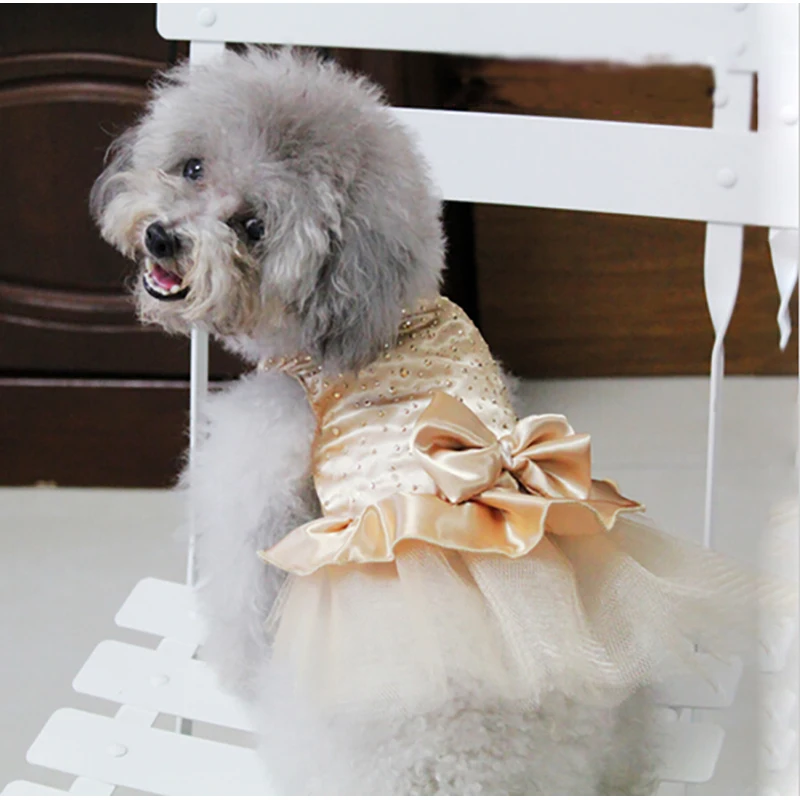 Summer Pet Clothes Dog Dress For Dogs Skirt Summer Princess Dog Wedding Dresses York Teddy Clothes For Dogs Skirts Pet Cat Dress