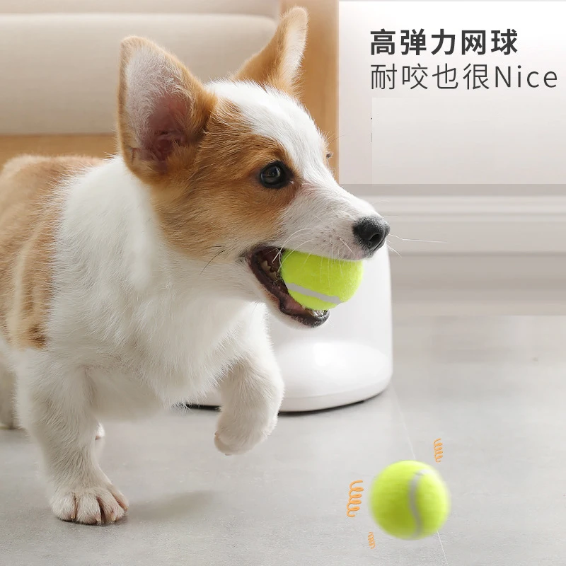 Dog pet toys Tennis Launcher Automatic throwing machine Ball throw device Section emission dog for small dogs 220V/110V plug