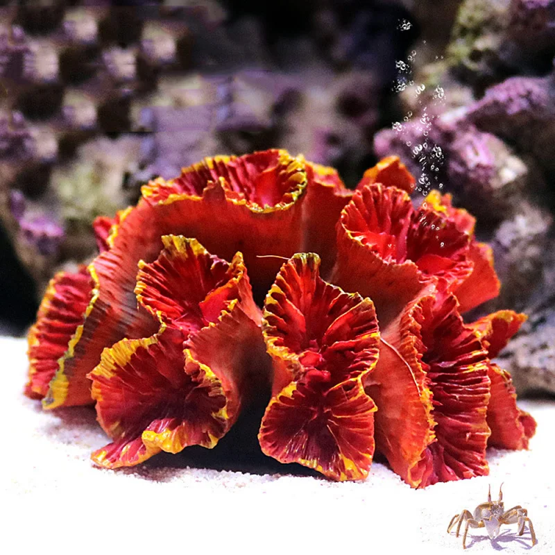 1PC Simulation Flower Shape Plant Artificial Coral Ornament For Aquarium Fish Tank Landscaping Scenery Decoration