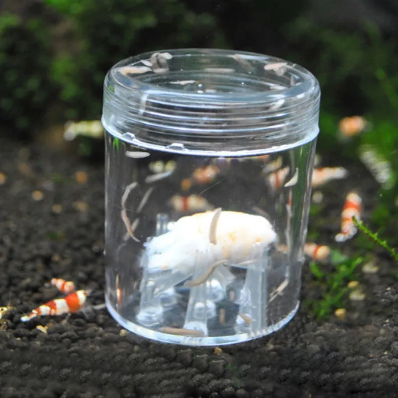 Aquarium Cleaner Tool Snail Trap Transparent Leech Pest Catch Pen Red Bee Shrimp Worm Bait Feeding Box