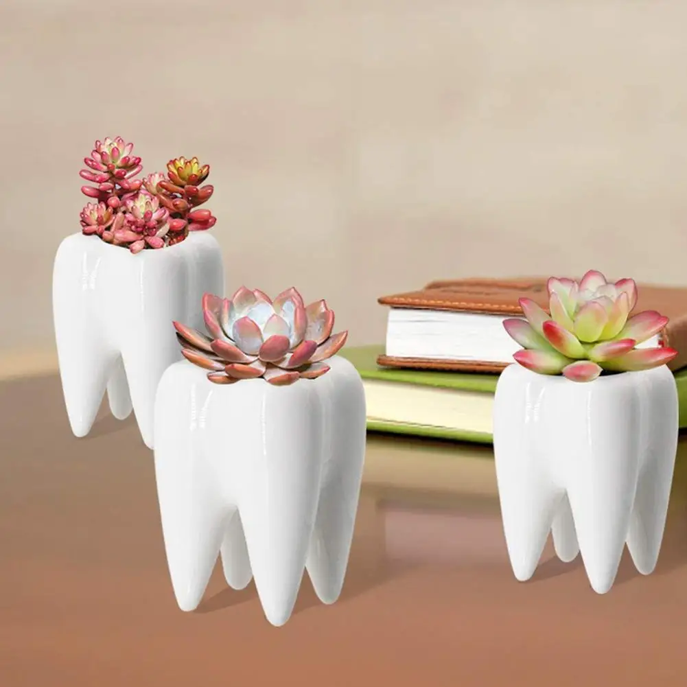 1Pcs Tooth Shaped Tabletop Ceramic Flowerpot Home Furnishings Cute Cactus Pot Flower Succulent Plant Nursery Basin Table Va L5L0