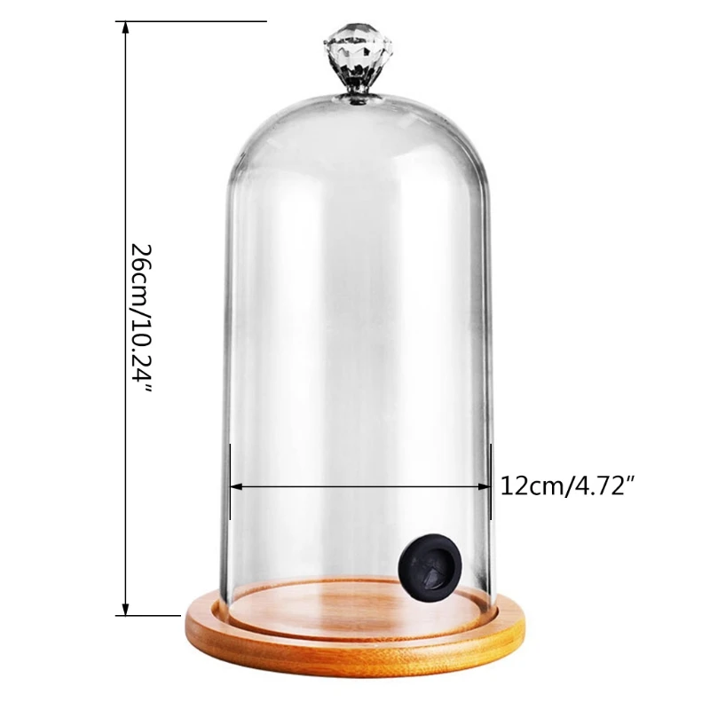 Plastic Smoking Cloche Hood Molecular Cuisine Food Dome Cover for c.cktail Cake 2024 New