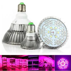 Full Spectrum Led Plant Grow Gloeilamp E27 Uv Ir Groeiende Lamp Bollen Growtent Box Hydroponic Indoor Kas Voor Groenten Bloem R1