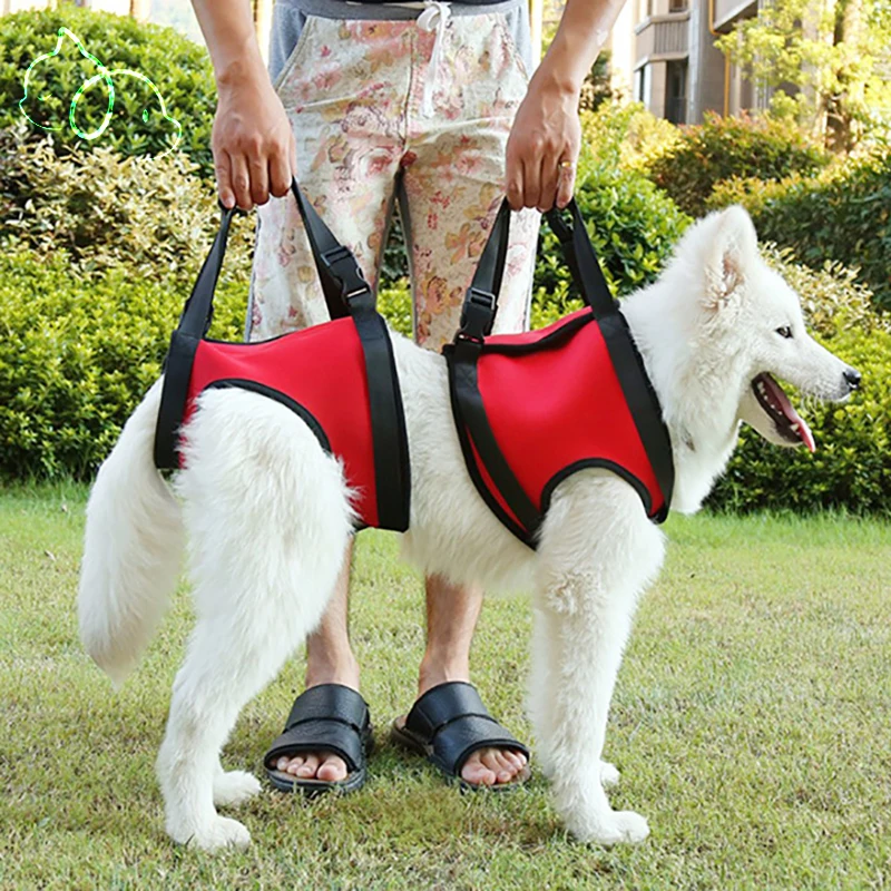 Dog Harness Pets Lifting Support Vest for Old Injured Dogs Walking Dog Vest Stair Support Pets Dogs Accessories Dogs Harness