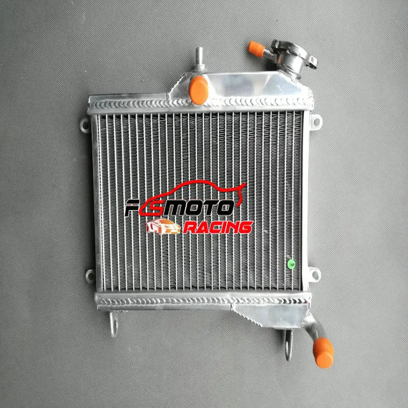 All Aluminum Radiator For YAMAHA TZR250 1KT