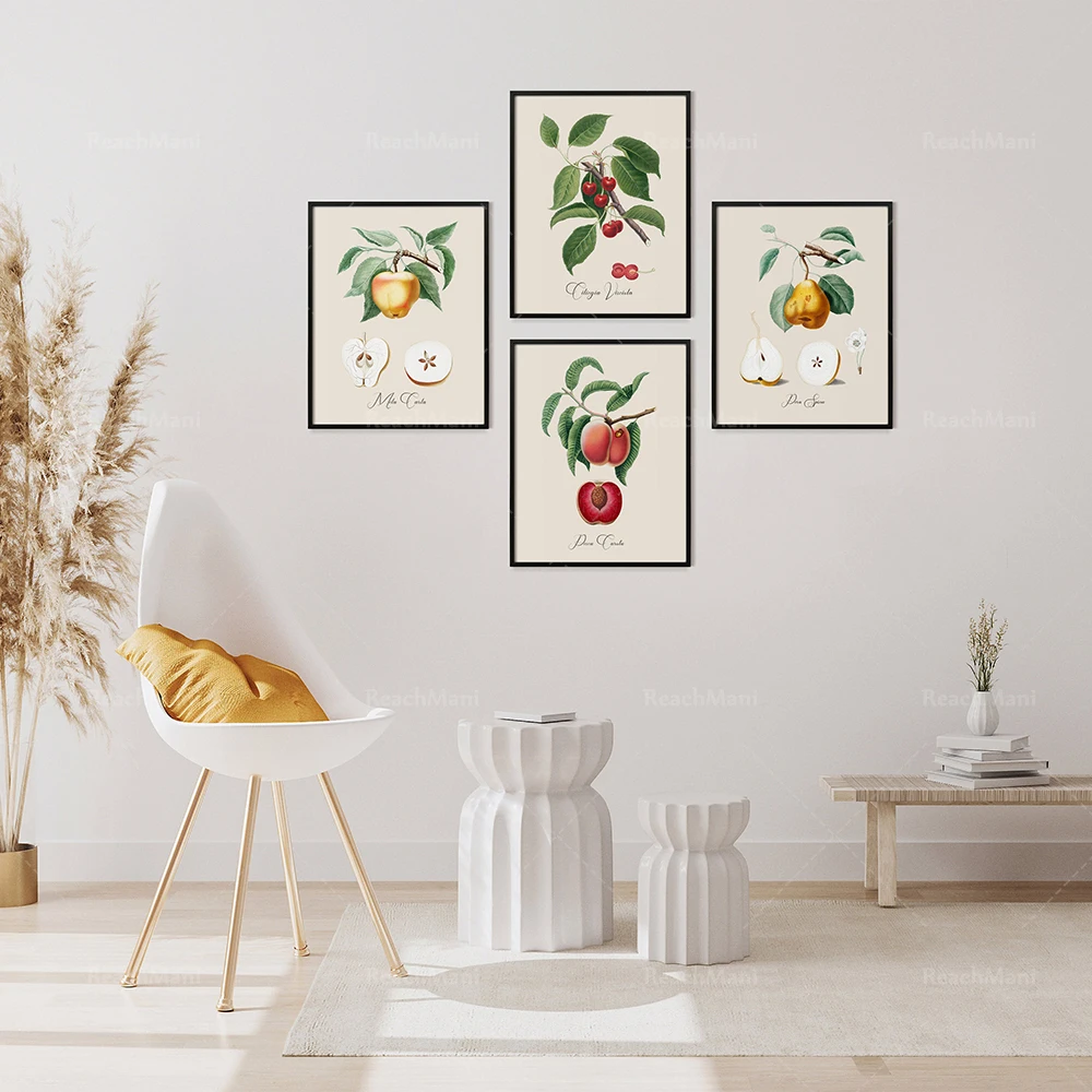 Vintage Fruit Wall Art, Apples and Pears, Peaches and Cherries, Set of Four Fruit Botanical Prints, Giclée Prints, Kitchen, Gior