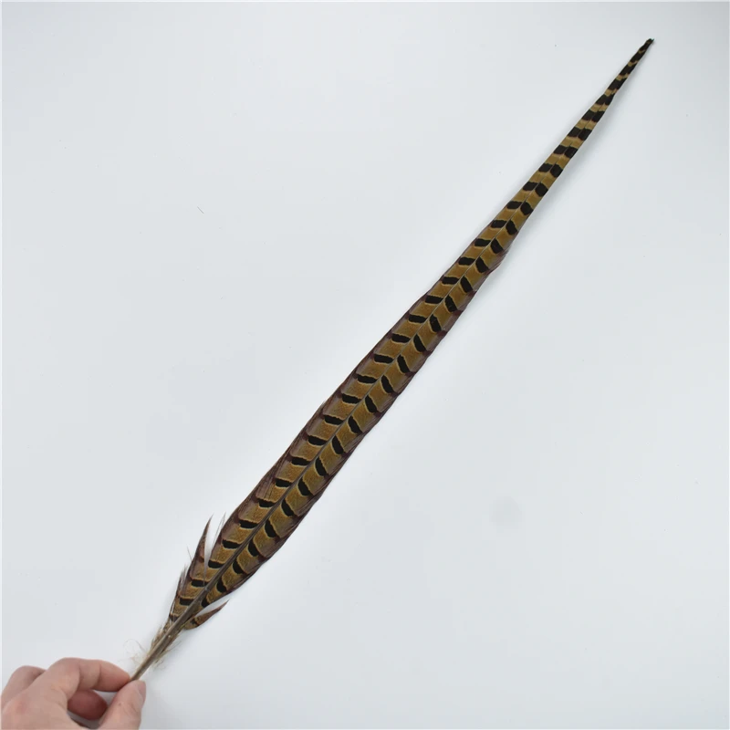 10 قطعة/الوحدة ريش ذيل الدراج الطبيعي للحرف اليدوية كرنفال اكسسوارات حفل زفاف عطلة الديكور أعمدة طويلة غطاء الرأس