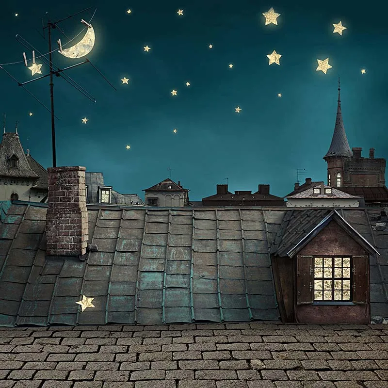 Night Sky Star Brick Roof Photo Backgrounds for Photo Studio Computer Printed Photography Backdrop for Wedding Children CM-5393