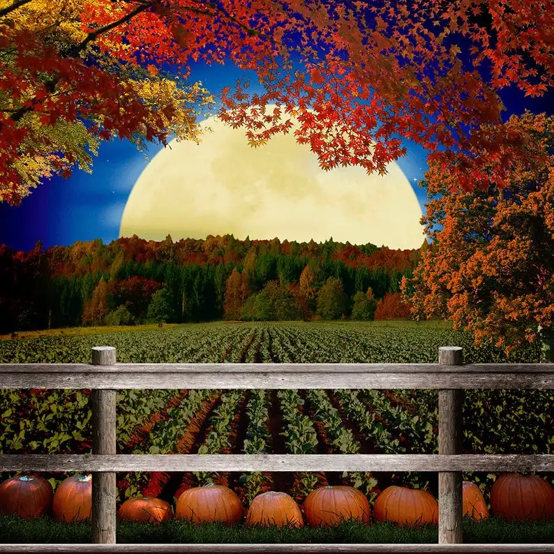 Great Pumpkin Patch Night half Moon Fence Tree photography backgrounds Vinyl cloth  Computer print wall backdrops