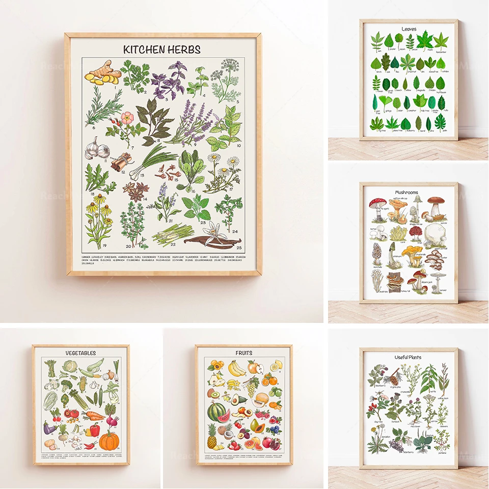 Educational posters for kitchen herbs, fruits and plants, posters for home school  classrooms, downloadable prints for