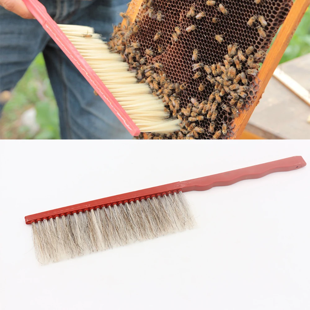 1PCS Beekeeping Tools Single Row Bee Brush Sweep Hand Planting Plastic Handle Apiculture Equipment Supplies