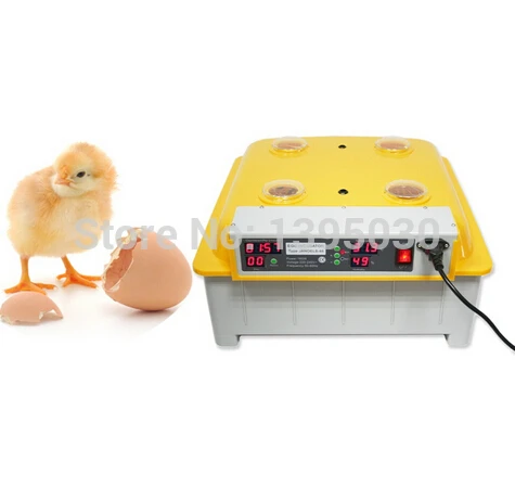 48 Eggs Digital Clear Egg Incubator Hatcher Automatic Turning Temperature Control