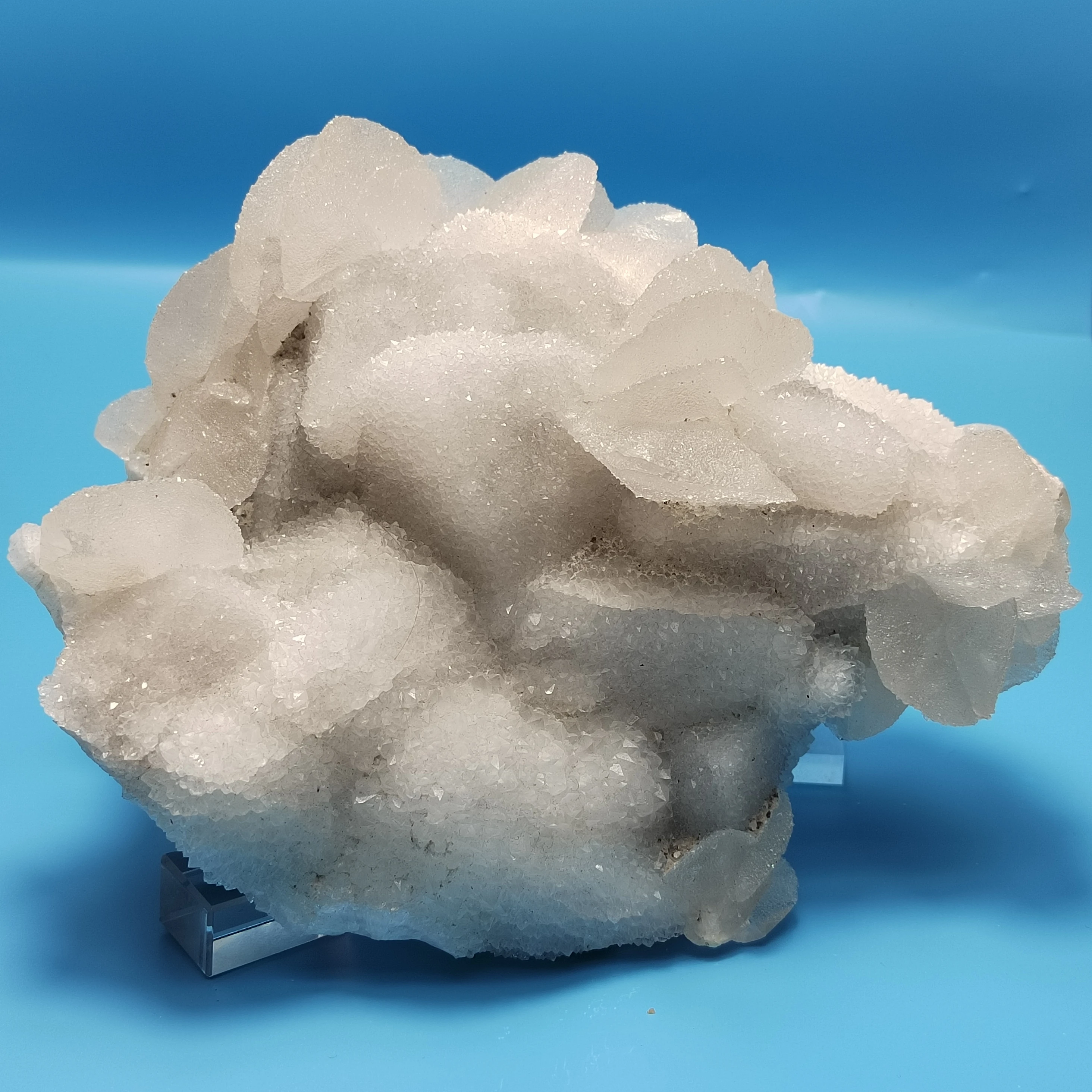 

2435gLarge, натуральная раковина, кальцит, сахарный кристалл, кварц, симбиотические образцы минералов, восстанавливающая энергия, украшение для дома