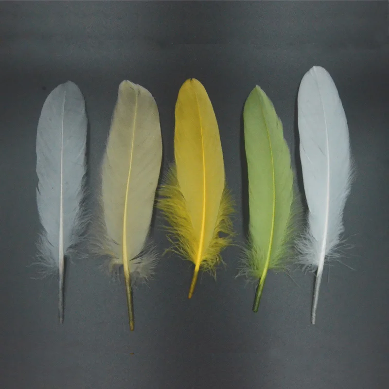 10optional Colors Fly Tying Select Goose Shoulder Feathers Tails Cheeks Wings 10pcs/pack Fly Fishing Feather For Steelhead Flies