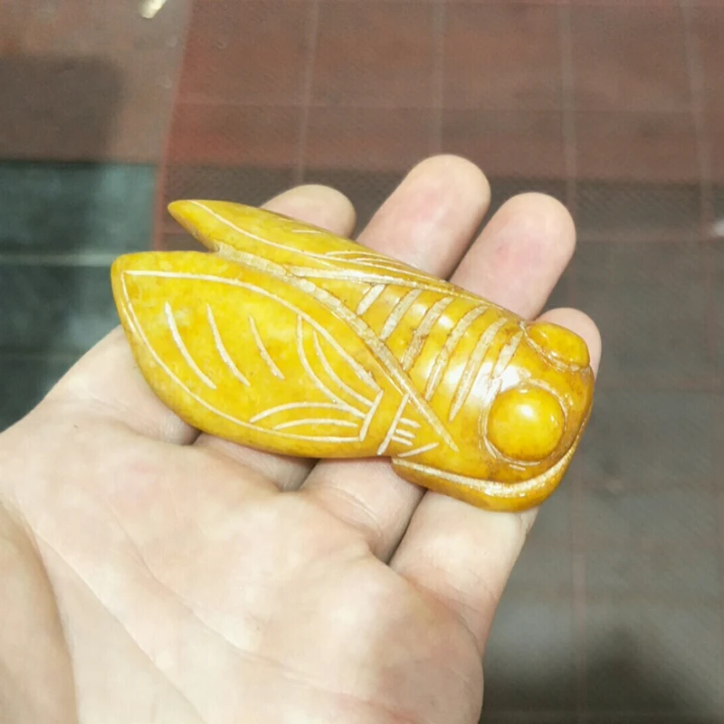 Natural Yellow Jade Hand Carve Large Size Cicada Jade Pendant Jewelry Lucky Auspicious Amulet Jade Pendant Fine Jewelry