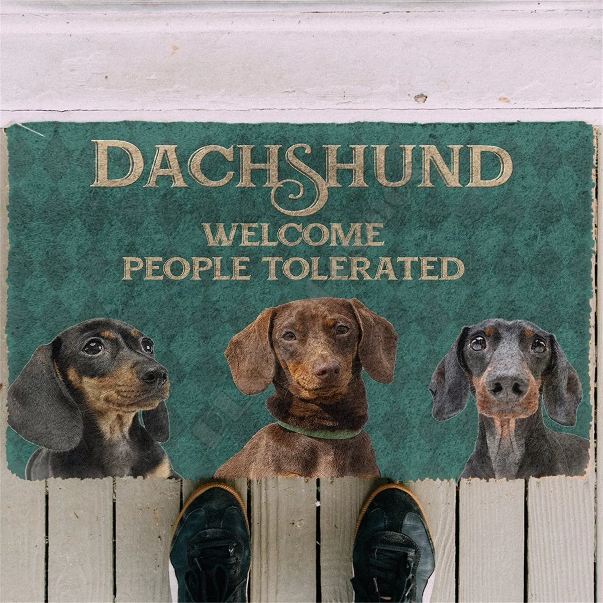 

Dachshund Welcome People Tolerated Doormat 3D All Ove Printed Non Slip Door Floor Mats Decor Porch Doormat 03