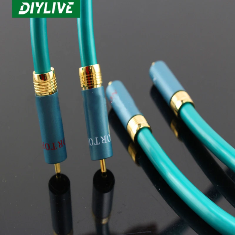 DIYLIVE HiFi 8N OFC Ortofon kabel audio RCA, wysokiej klasy wzmacniacz CD, 2RCA do 2RCA publiczny interkonekt audio