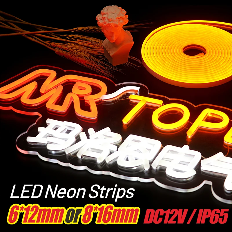 6*12mm or 8*16mm 5m Neon light DC12V LED Strip SMD2835 Flexible Rope Tube IP65 for DIY Christmas Holiday Decoration Light