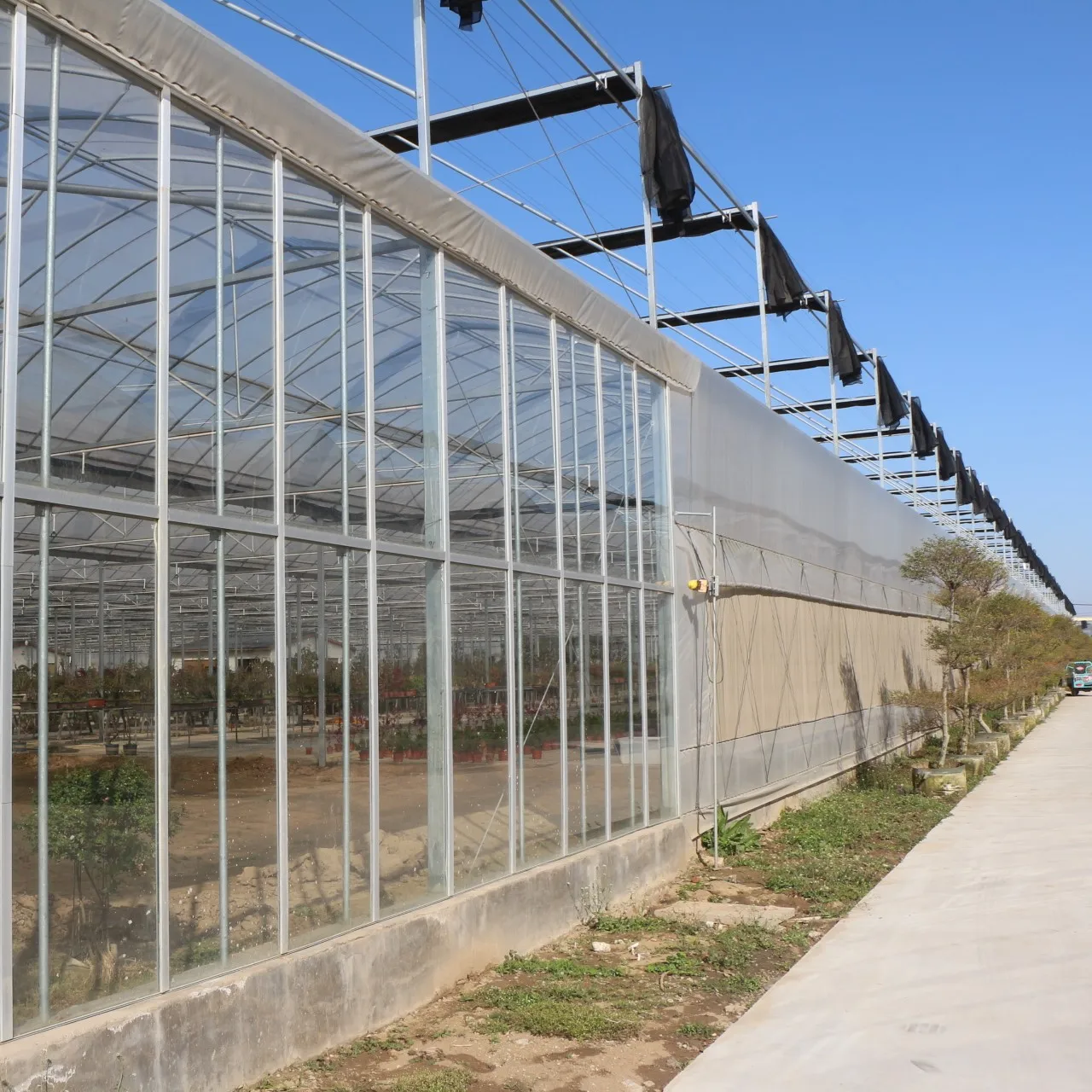 Intelligent multi-span plastic film greenhouse for planting vegetables, growing flowers and recreation