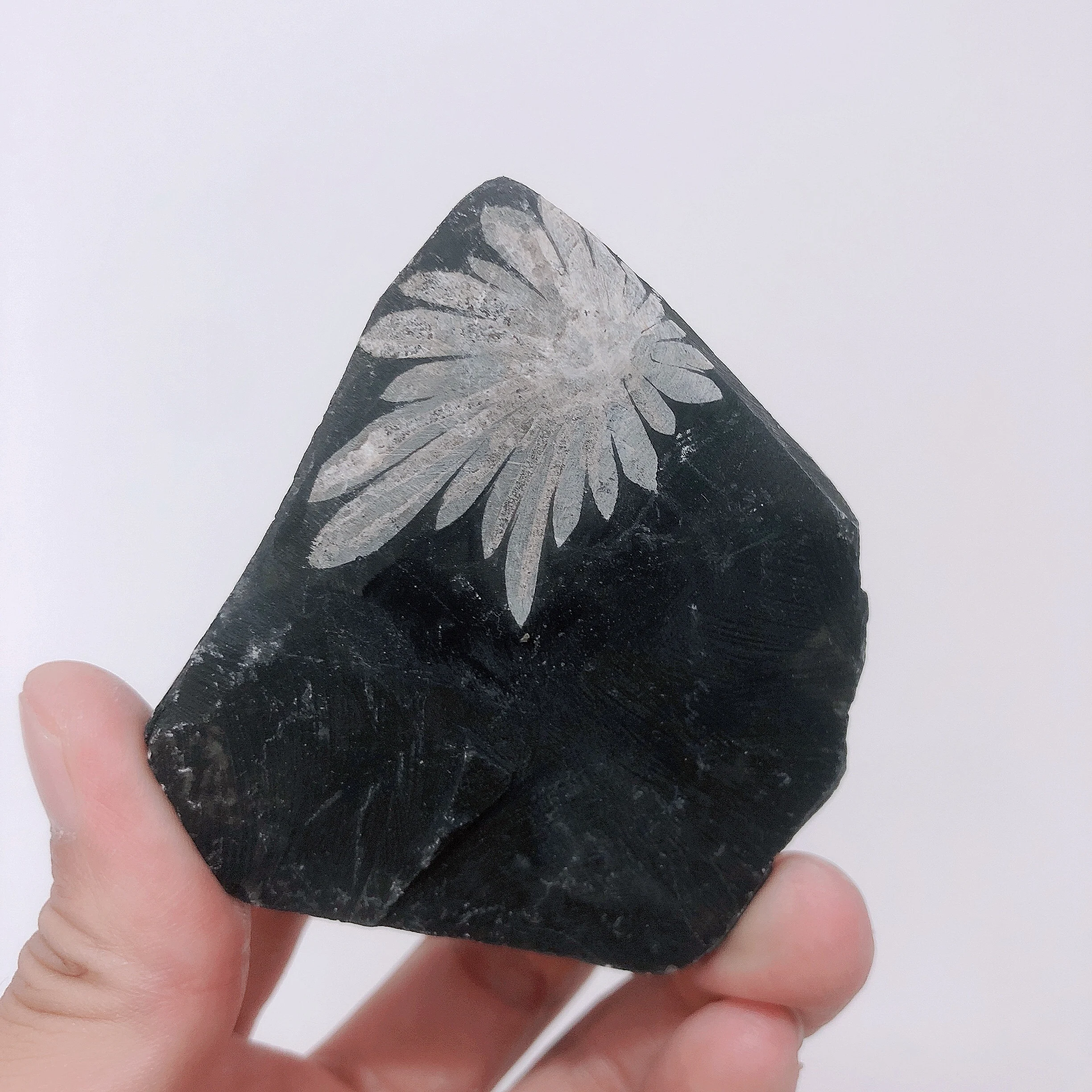 Natural Crystals Quartz Chrysanthemum Energy Reiki Stones Specimen Home Rome Office Aquarium Decoration Accessories Gemstone