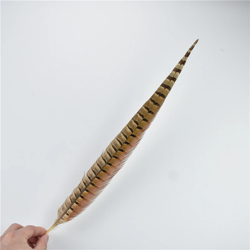 10 قطعة/الوحدة ريش ذيل الدراج الطبيعي للحرف اليدوية كرنفال اكسسوارات حفل زفاف عطلة الديكور أعمدة طويلة غطاء الرأس