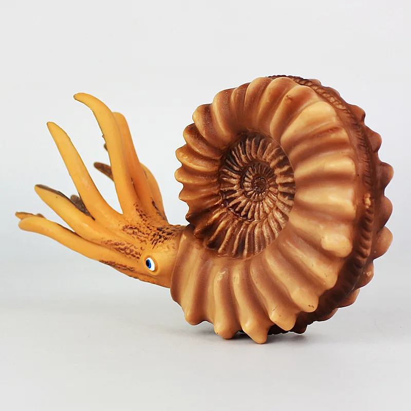 Sea Life Animal Conch Nautilus Figure Toys Ocean Animal Kids Solid Plastic Cement Toys Gift