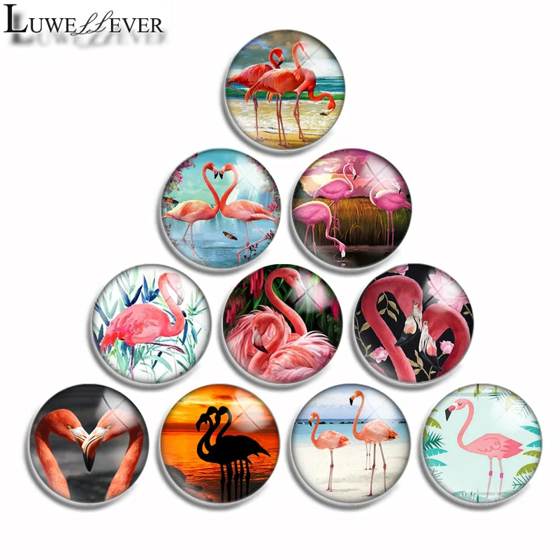 

10mm 12mm 16mm 20mm 25mm 30mm 553 Flamingo Mix Round Glass Cabochon Jewelry Finding 18mm Snap Button Charm Bracelet