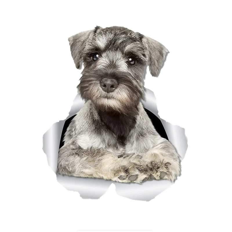 3D Curious Schnauzer Dog Car Stickers Polyethylene Decals Wall, Toilet, Children's Room, Luggage, Skateboard, Laptop
