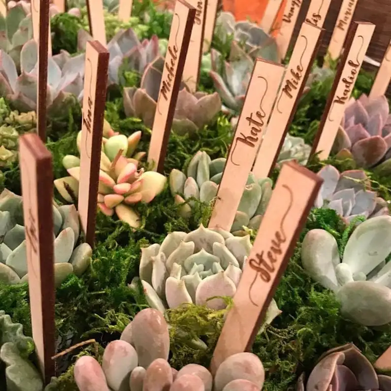 

Succulent Favor Tags For Plant, Place cut names, Baby Bridal Shower favor, Escort Tags, Personalized signs plate name place car