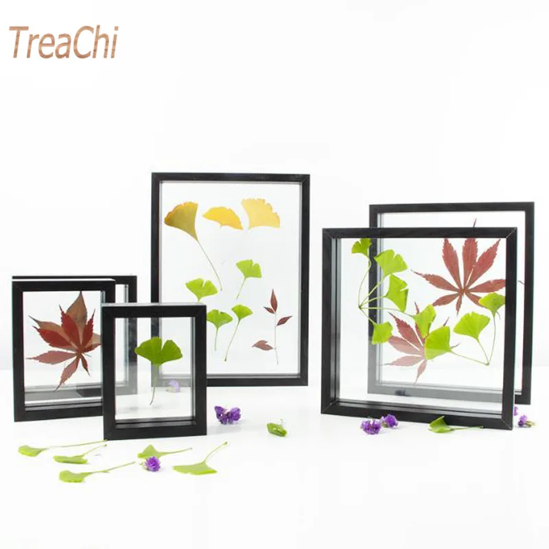 Plant Dried Flower Leaf Specimen Box Square A4 Paper-cut Picture Frame Double-sided Glass Photo Frame Table Wall Picture Frame