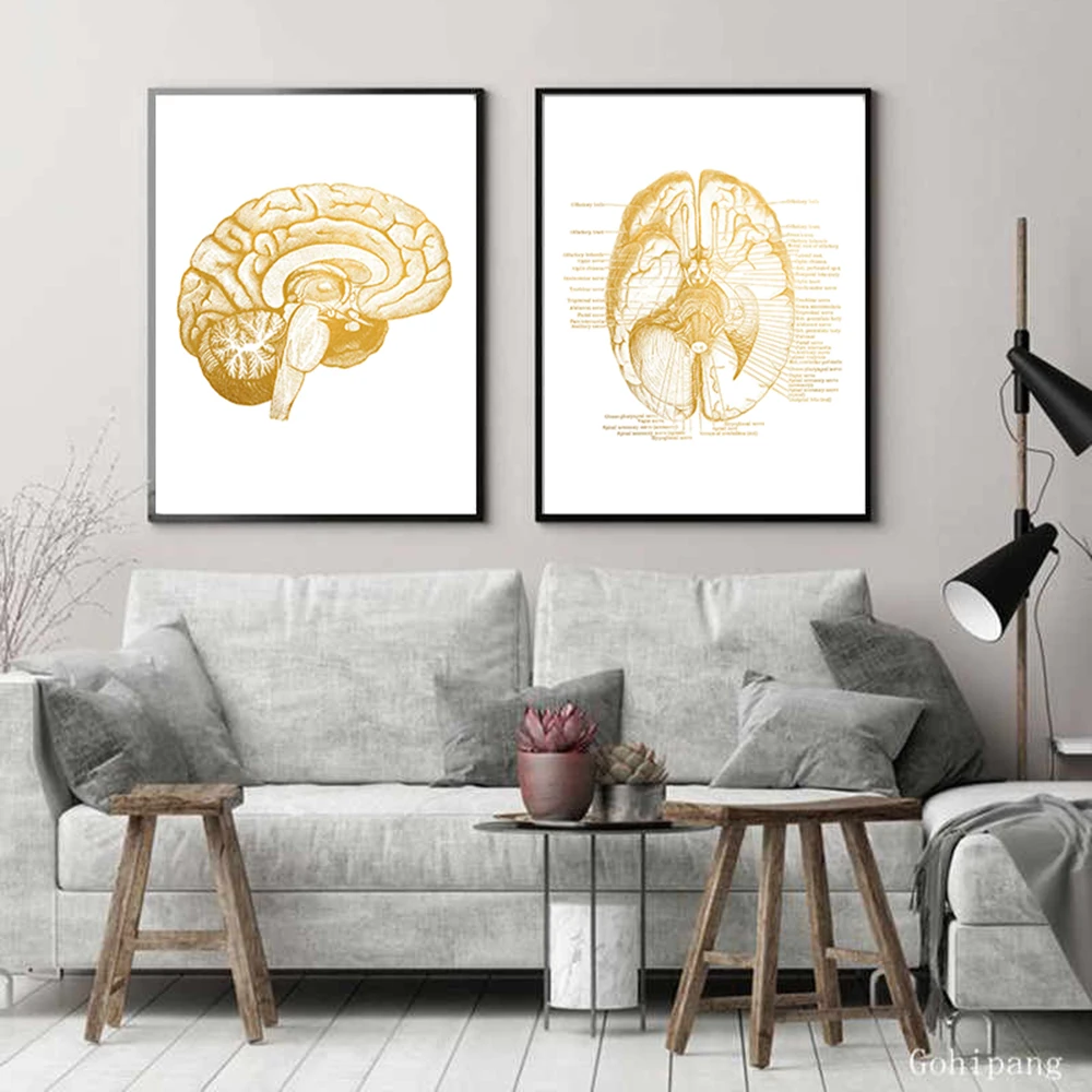 Brain Medical Print Human Head Anatomy Golden Illustration Poster Neurology Science Art Canvas Painting Picture Doctor Gift Wal