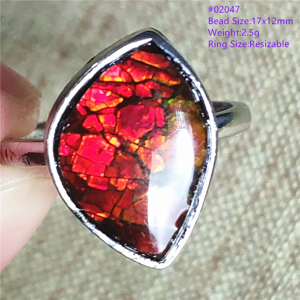 Natural Red Yellow Ammonite Ammolite Adjustable Ring 925 Sterling Silver Fashion Oval Ring AAAAAA