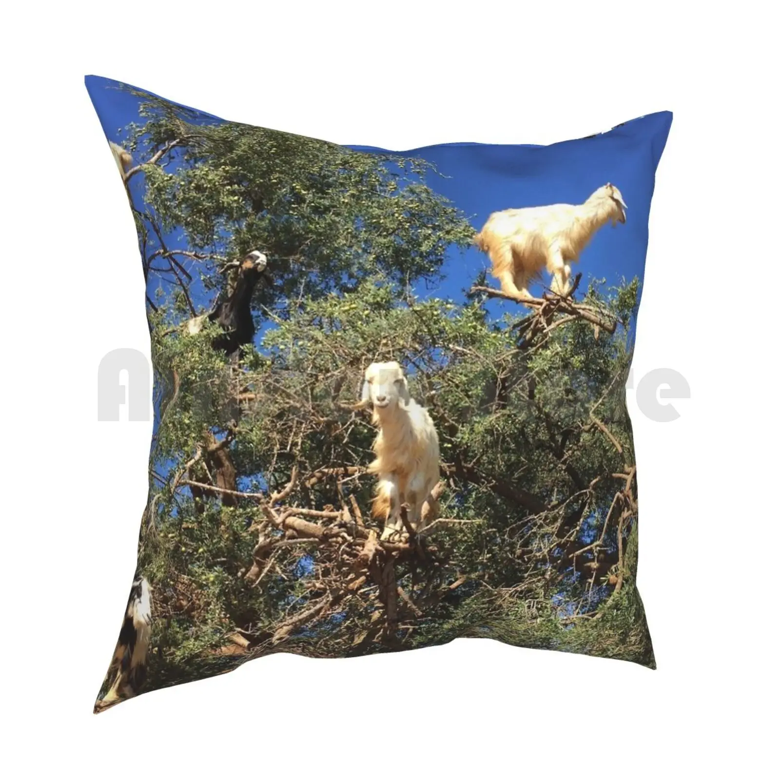 Goats In An Argan Tree Pillow Case Printed Home Soft Throw Pillow Goat Goats Trees Morocco Climb Climbing Unusual